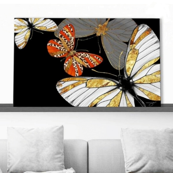 Beautiful butterflies 11